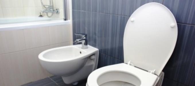 What is a bidet?  How to use it?