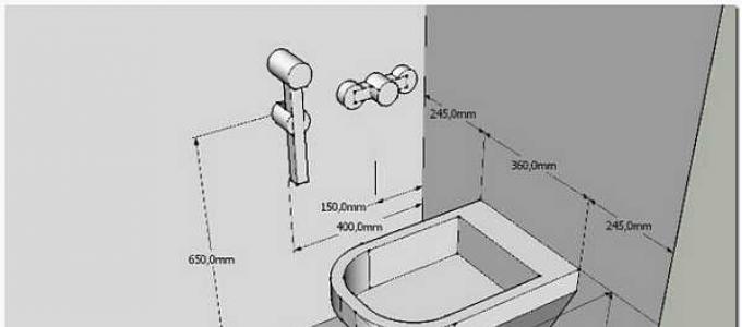 Встановлення гігієнічного душу в туалеті: вибір моделі змішувача, варіанти монтажу