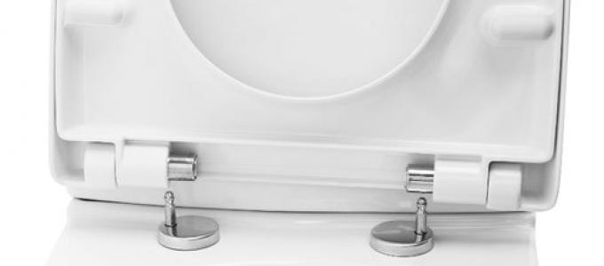 How to fix a toilet: causes and elimination of several simple faults