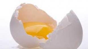 Benefits of a simple egg for hair