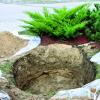 How to take care of the soil on the site