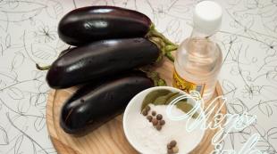 Recipes for harvesting eggplant for the winter without sterilization