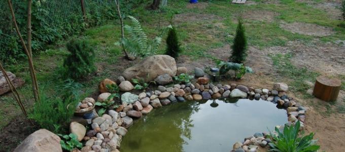 Do-it-yourself pond at the dacha