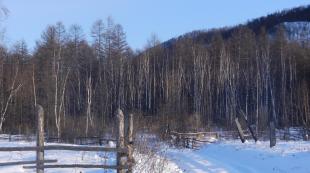 Vaninsky district - Vysokogorny settlement.  Vysokogorny (Khabarovsk Territory) Education and culture